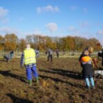 Pflanzaktion-2025-wiese-Hecke-005