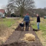 Pflanzaktion-2025-wiese-Hecke-007