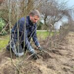 Pflanzaktion-2025-wiese-Hecke-008